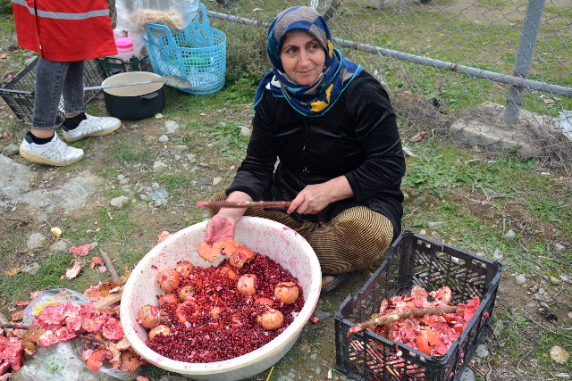 برگزاری جشنواره پاییز هزار رنگ در روستای بالا جاده